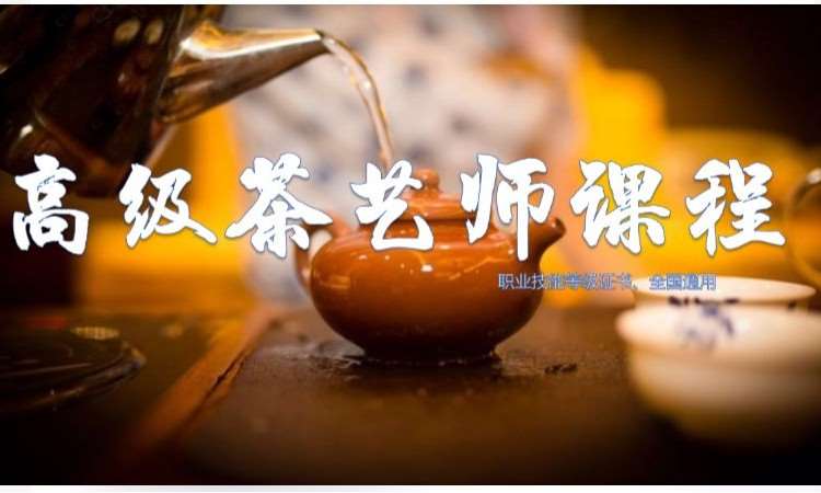 高级茶艺师课程