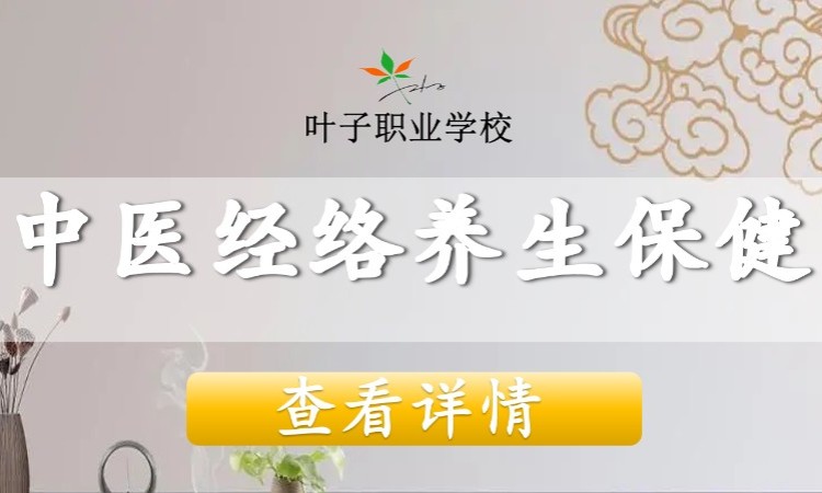  中医经络/养生保健培训